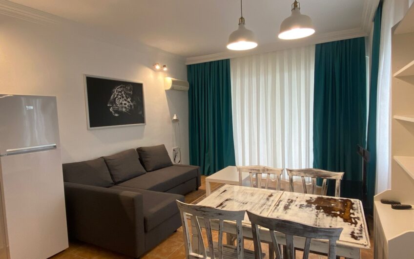 FOR RENT APARTMEN 1+1 İN TOSMUR