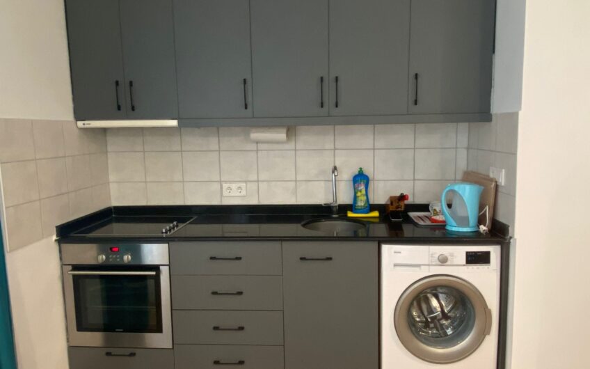 FOR RENT APARTMEN 1+1 İN TOSMUR