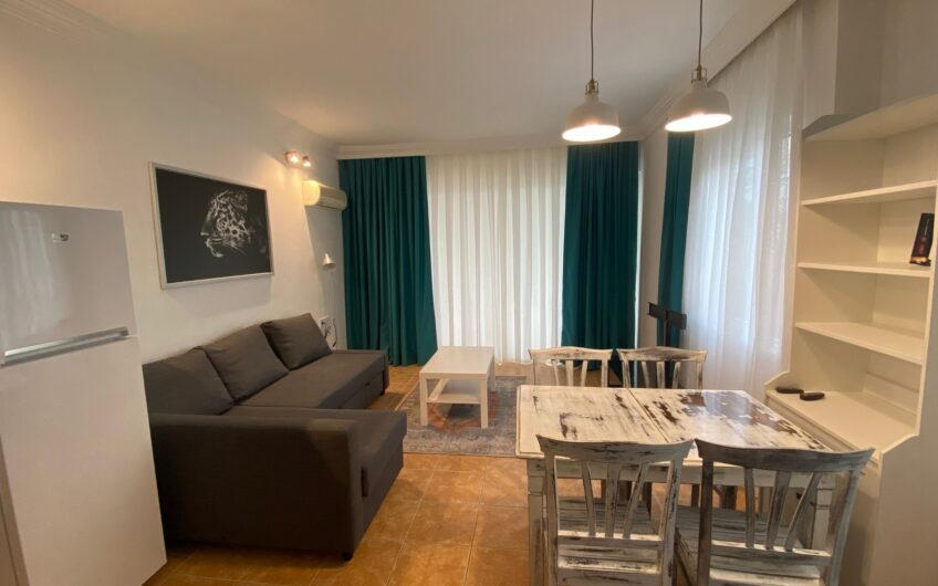 FOR RENT APARTMEN 1+1 İN TOSMUR