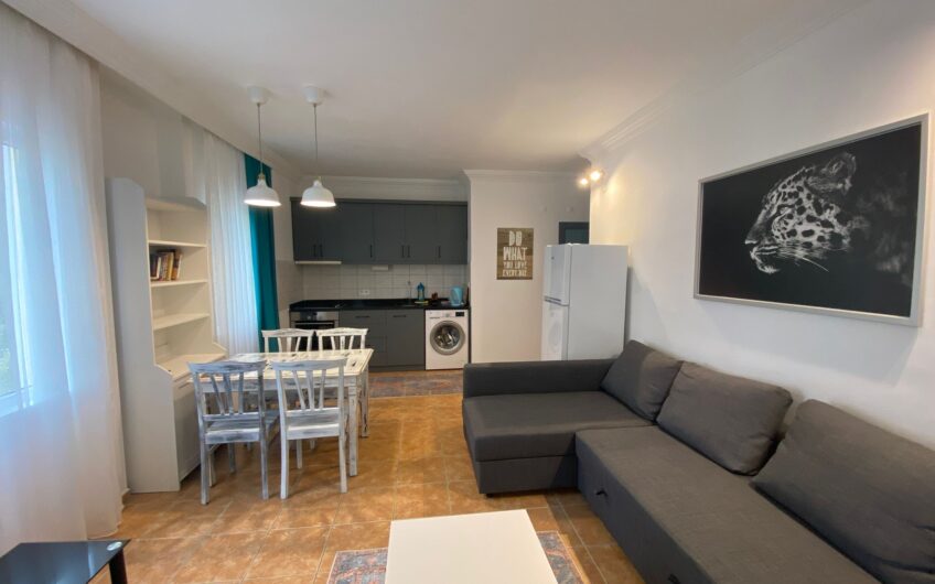 FOR RENT APARTMEN 1+1 İN TOSMUR